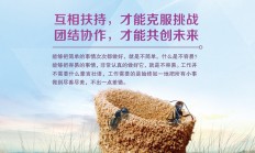 开运体育官方入口-队伍的团结合作在比赛中彰显出巨大优势