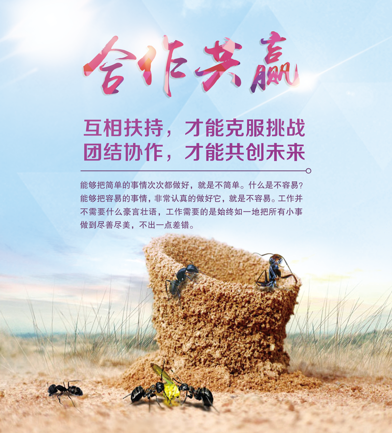 队伍的团结合作在比赛中彰显出巨大优势