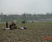 河床多线作战阵容调整，保证体能充沛的简单介绍