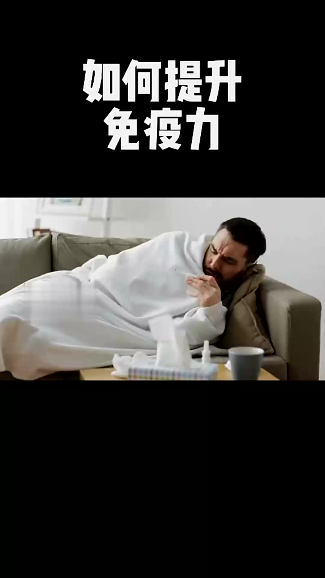 帕尔梅拉斯外援训练成果显著，力拼强队的简单介绍