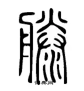 包含滕帅大手笔！3500万欧宽萨成队史标王，药厂已花的词条